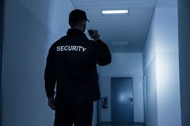 Revoca del titolo di Guardia Giurata Particolare: l’ordinanza cautelare n. 4562 del 28.08.2025, della Sezione Prima Ter del TAR Lazio