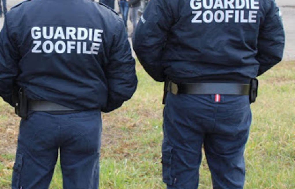 Guardie zoofile e venatorie e rilascio del relativo titolo di P.S.: è obbligatorio il preavviso di diniego, anche in caso di accoglimento parziale dell’istanza. Le ordinanze cautelari nn. 632, 633, 635 e 636 del 07.11.2025 del TAR Palermo.