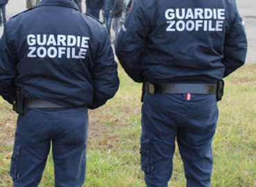 Guardie zoofile e venatorie e rilascio del relativo titolo di P.S.: è obbligatorio il preavviso di diniego, anche in caso di accoglimento parziale dell’istanza. Le ordinanze cautelari nn. 632, 633, 635 e 636 del 07.11.2025 del TAR Palermo.