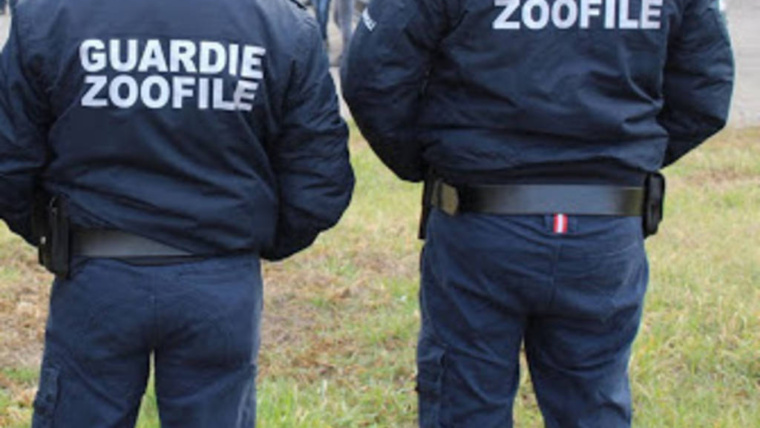 Guardie zoofile e venatorie e rilascio del relativo titolo di P.S.: è obbligatorio il preavviso di diniego, anche in caso di accoglimento parziale dell’istanza. Le ordinanze cautelari nn. 632, 633, 635 e 636 del 07.11.2025 del TAR Palermo.